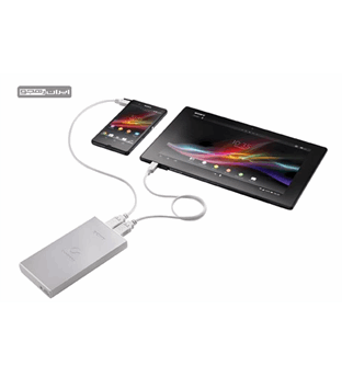 منبع تغذیه قابل حمل USB سونی مدل  CP-F10